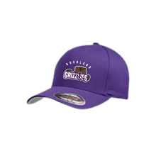 Load image into Gallery viewer, Baseball Hat - Grizzlies
